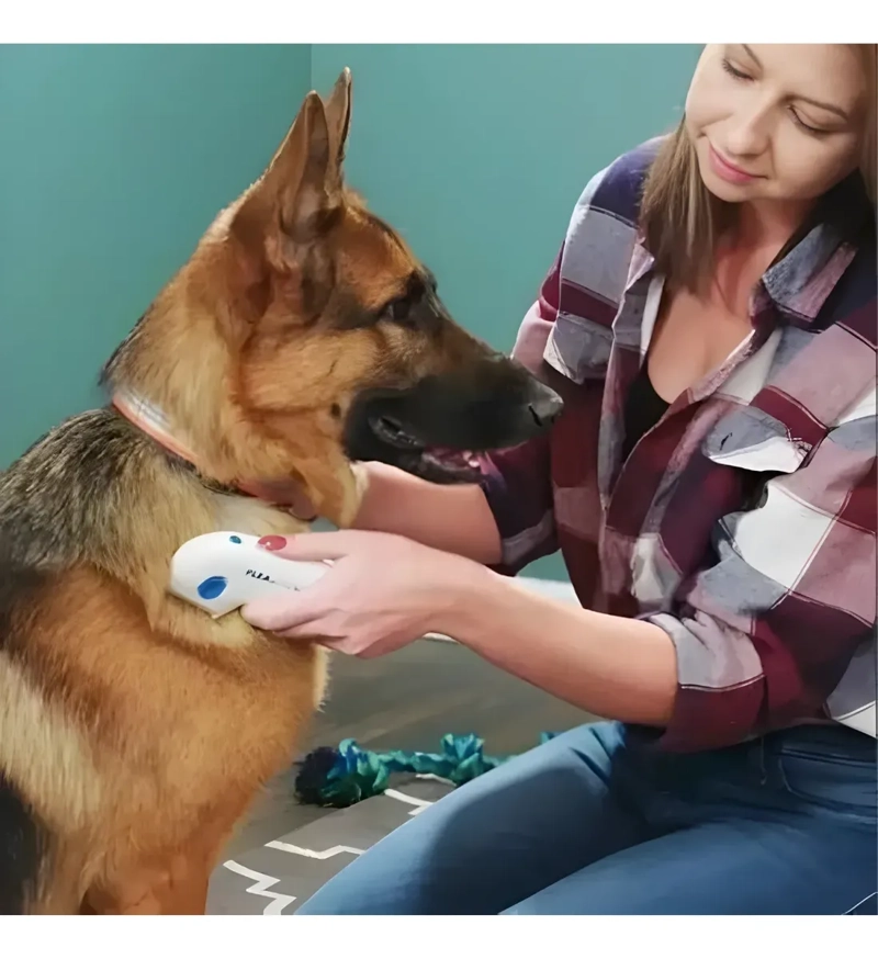 PEINE ELE CTRICO MATA PULGAS PARA PERROS Y GATOS - 4