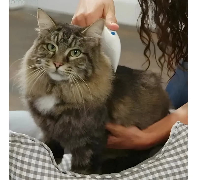PEINE ELE CTRICO MATA PULGAS PARA PERROS Y GATOS - 5