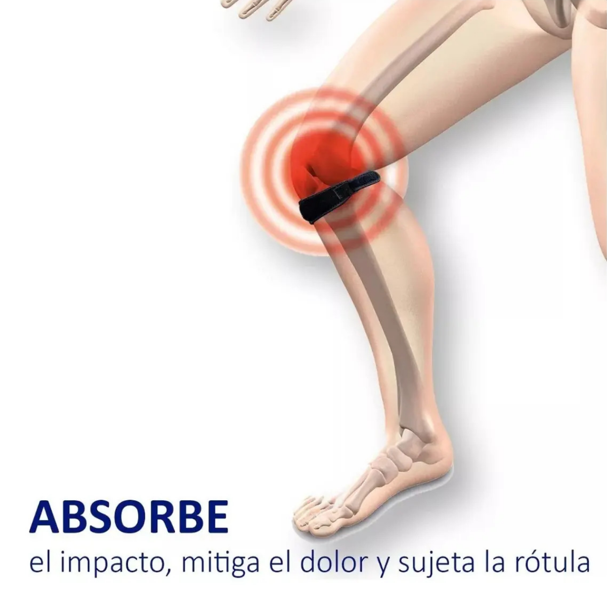 MENISQUERA BANDA PATELAR SOPORTE TENDON RODILLA - 4