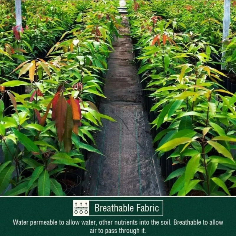 MALLA ANTIMALEZA 2X10 MTS TELA ROLLO GROUND COVER PLANTA - 9