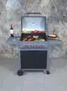 PARRILLA A GAS DARK HAWK BBQ GRILL 4 QUEMADORES NEGRO - 5