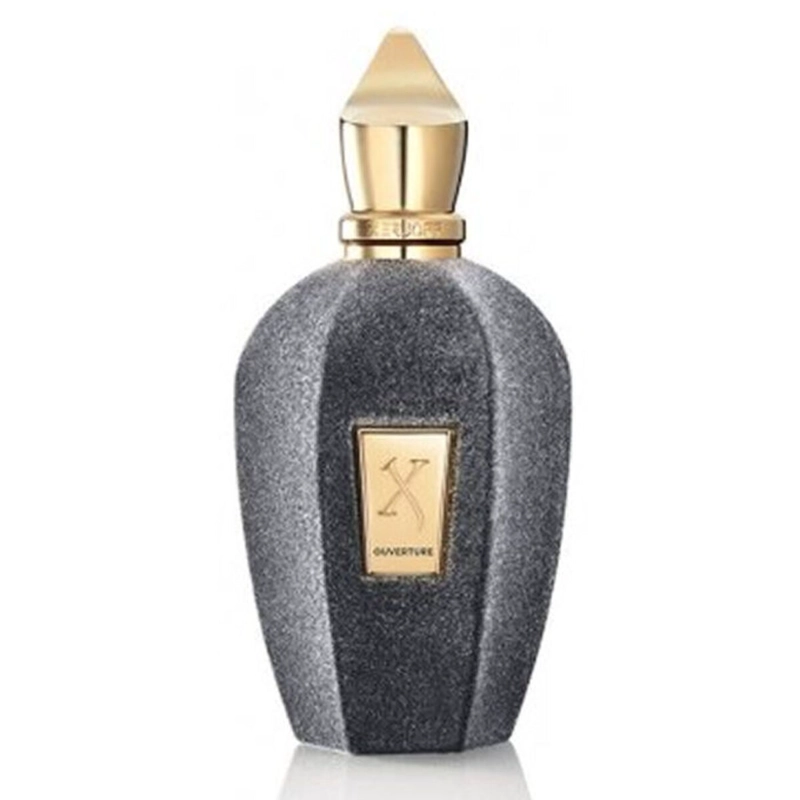 XERJOFF XJ V OUVERTURE EDP 100 ML - 1