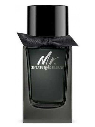 BURBERRY MR BURBERRY EDP 100ML - 1