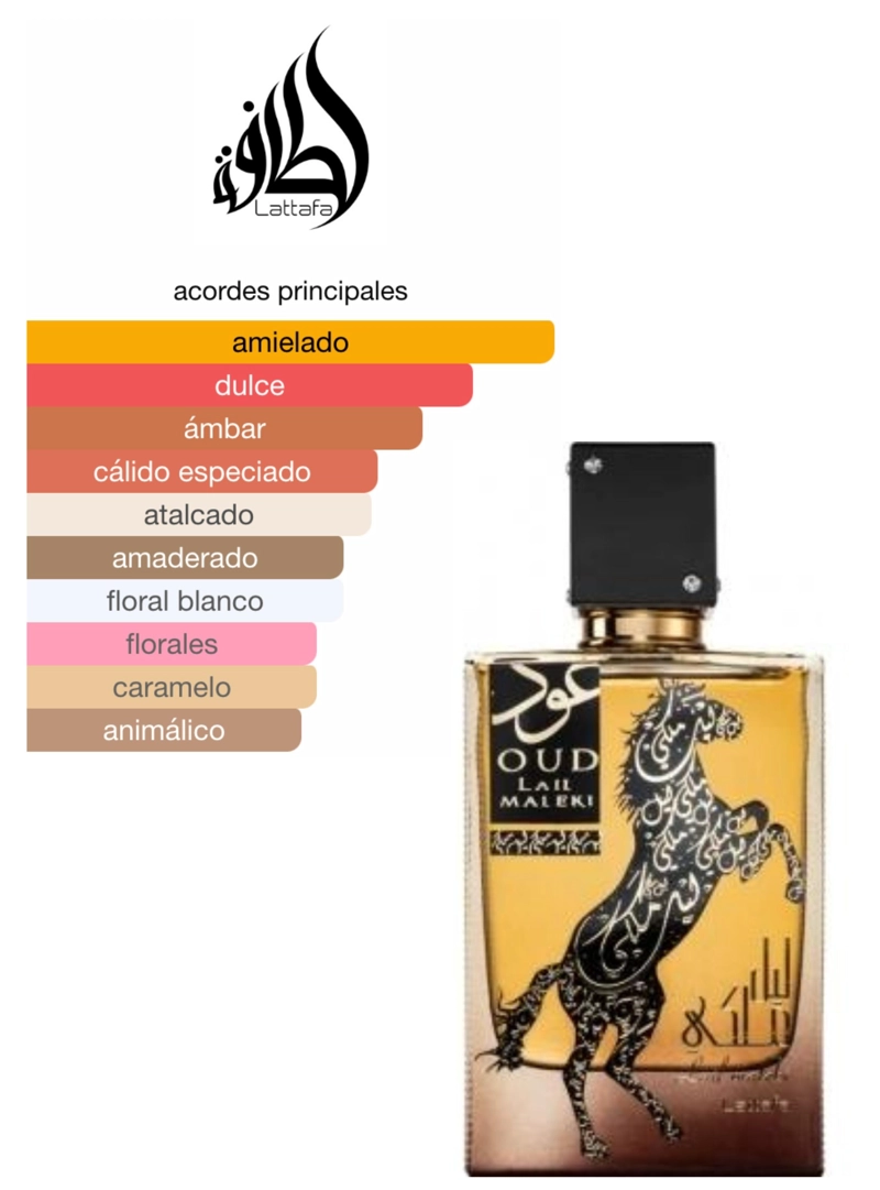 LATTAFA OUD LAIL MALEKI EDP 100ML - 2