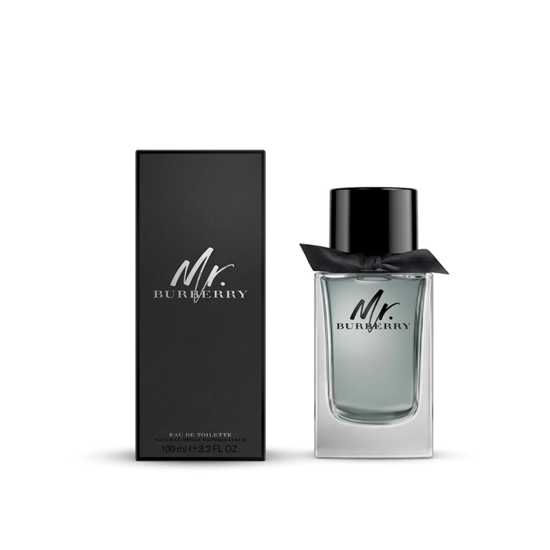 BURBERRY MR BURBERRY 100ML EDT - 1