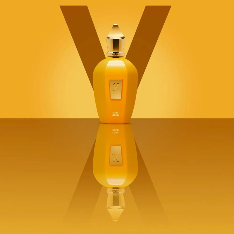 XERJOFF ERBA GOLD EDP 100ML - 2