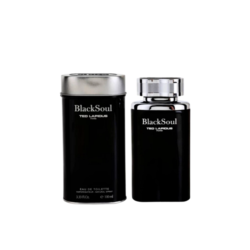 TED LAPIDUS BLACK SOUL MEN EDT 100ML - 1