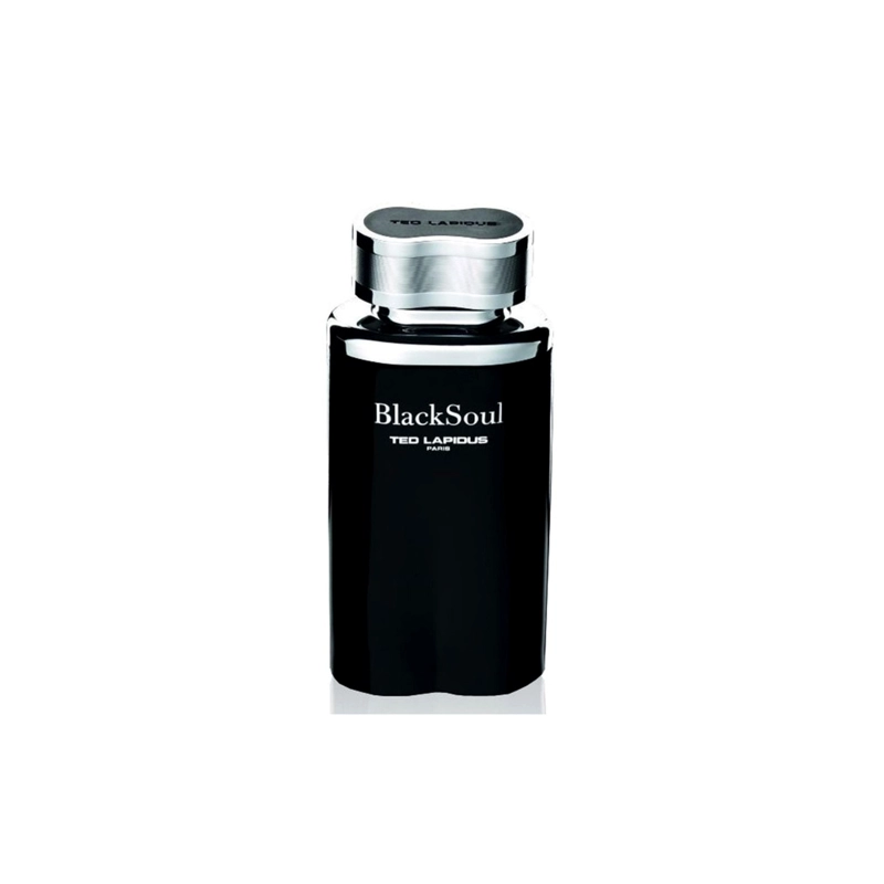 TED LAPIDUS BLACK SOUL MEN EDT 100ML - 2