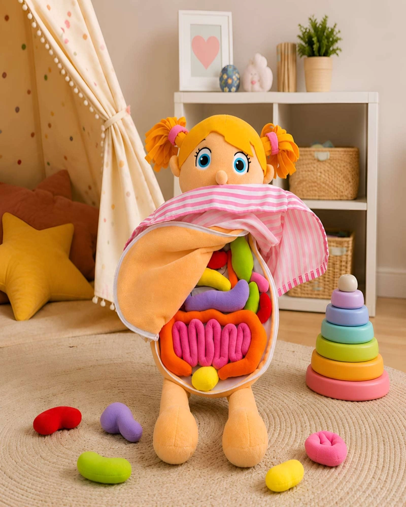 JUGUETE DIDACTICO PELUCHE ANATOMICO INTERACTIVO CUERPO HUMANO PARA NINOS - 3
