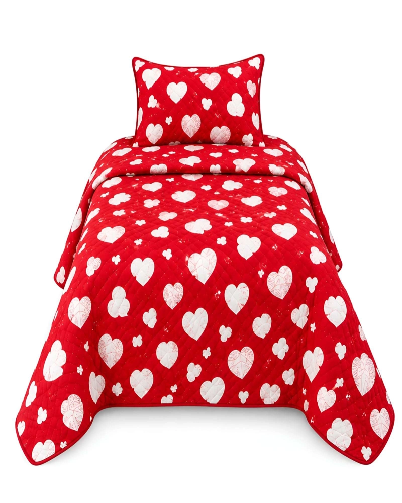 SET QUILT CUBRECAMA 180X230CM 1.5 PLAZAS MICROFIBRA SUAVE Y FUNDA - 6