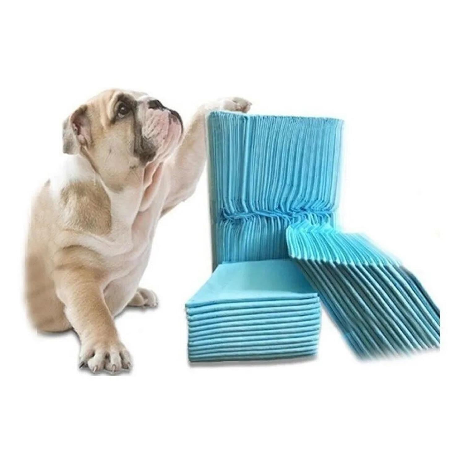 100 PAÑALES TIPO SABANILLAS MASCOTAS PERROS 60X60 - 1