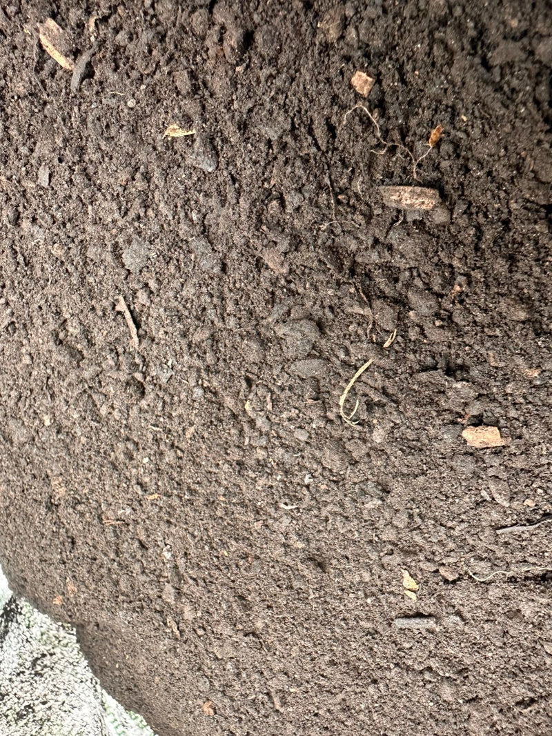 HUMUS DE LOMBRIZ PREMIUM 5 LTS - ABONO ORGANICO PARA PLANTAS - 3