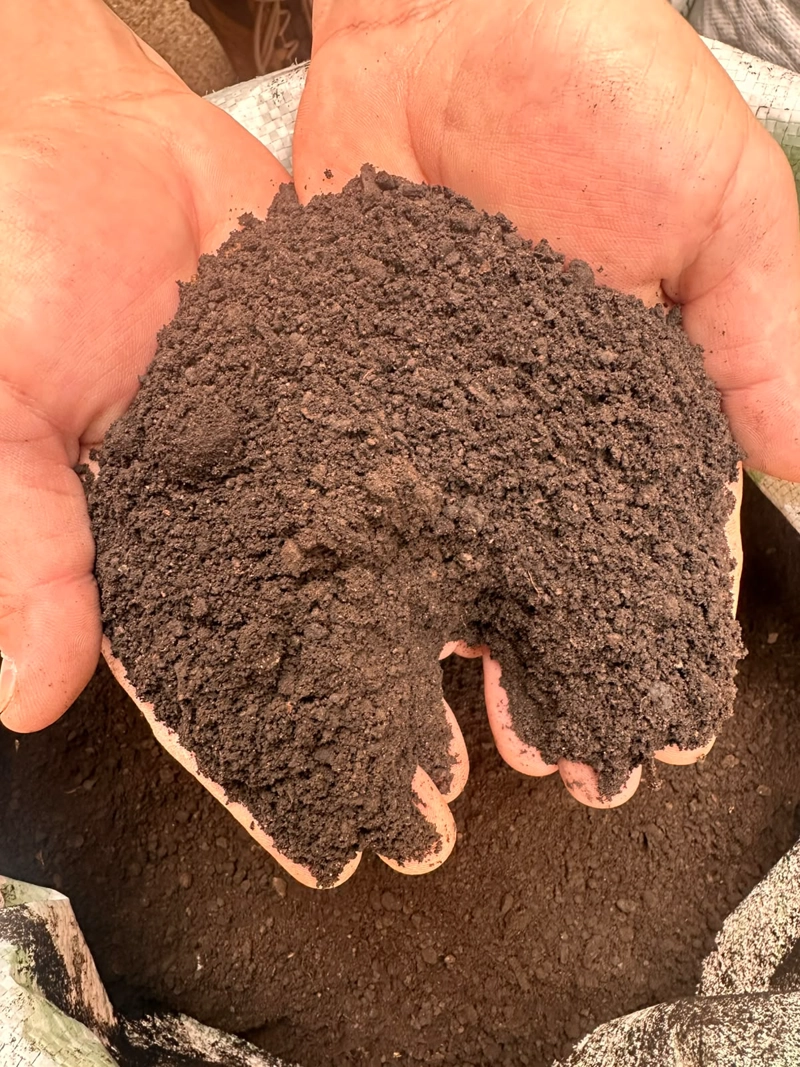 HUMUS DE LOMBRIZ PREMIUM 10 LTS - ABONO ORGANICO PARA PLANTAS - 2