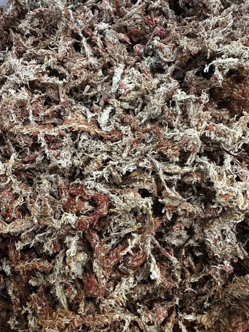 MUSGO SPHAGNUM 5 LITROS DESHIDRATADO - 2