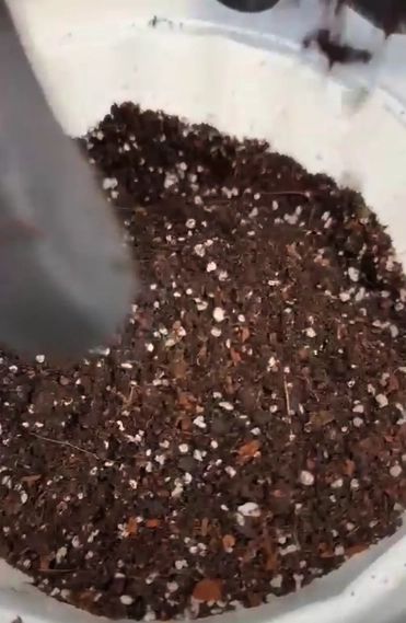 SUSTRATO MIX PLANTAS DE INTERIOR 20 LITROS - 2