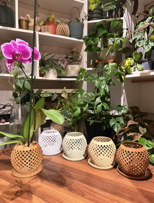 MACETERO PARA ORQUIDEAS + SUSTRATO MIX ORQUIDEA 2 LITROS - 2
