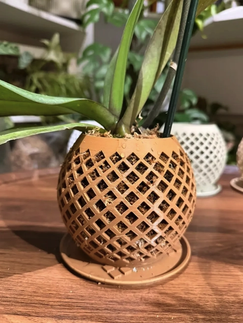 MACETERO PARA ORQUIDEAS + SUSTRATO MIX ORQUIDEA 2 LITROS - 3