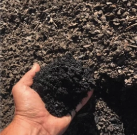 CORTEZA DE PINO FINA COMPOSTADA PREMIUM 10 LITROS - 3