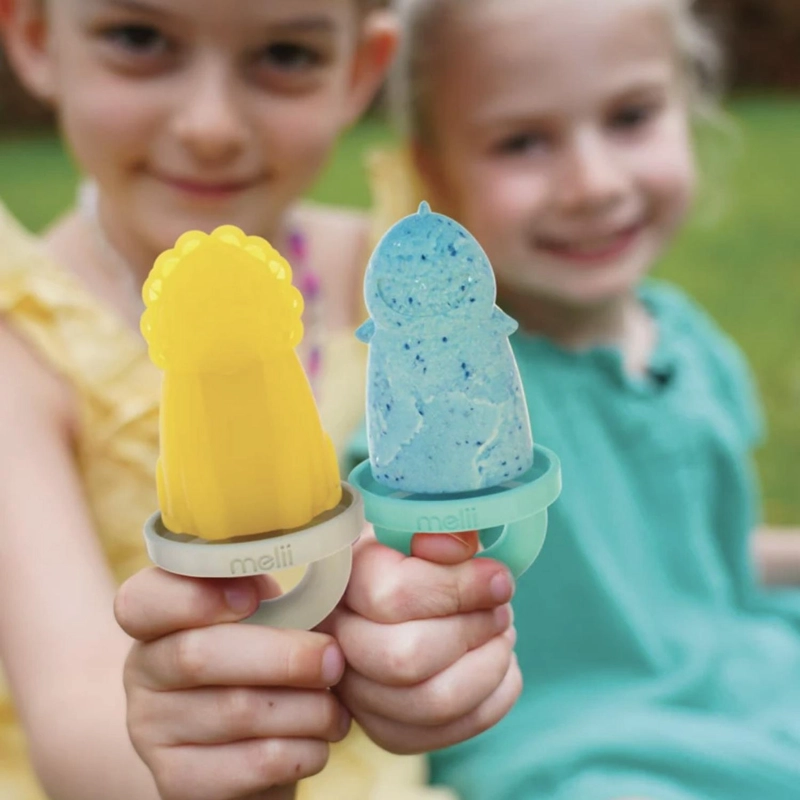 PACK DE 6 MOLDES PALETAS DE HELADOS - 3