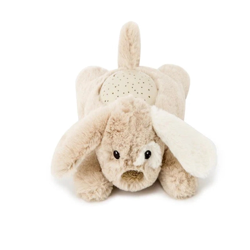 PROYECTOR DREAM BUDDIES - PATCH EL CACHORRO - 4