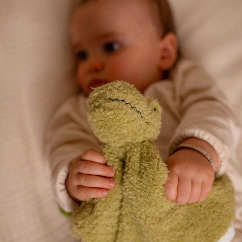 CAJA REGALO PARA BEBE  - DINOSAURIOS - 3