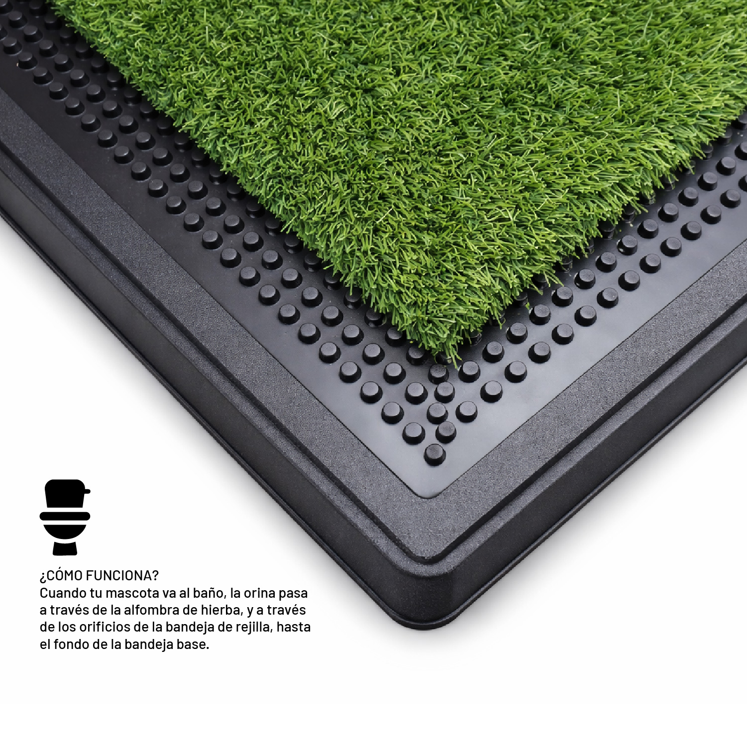 BAÑO PERROS GATOS PETWOOW R1032 ECOLÓGICO PET POTTY MASCOTAS - 7