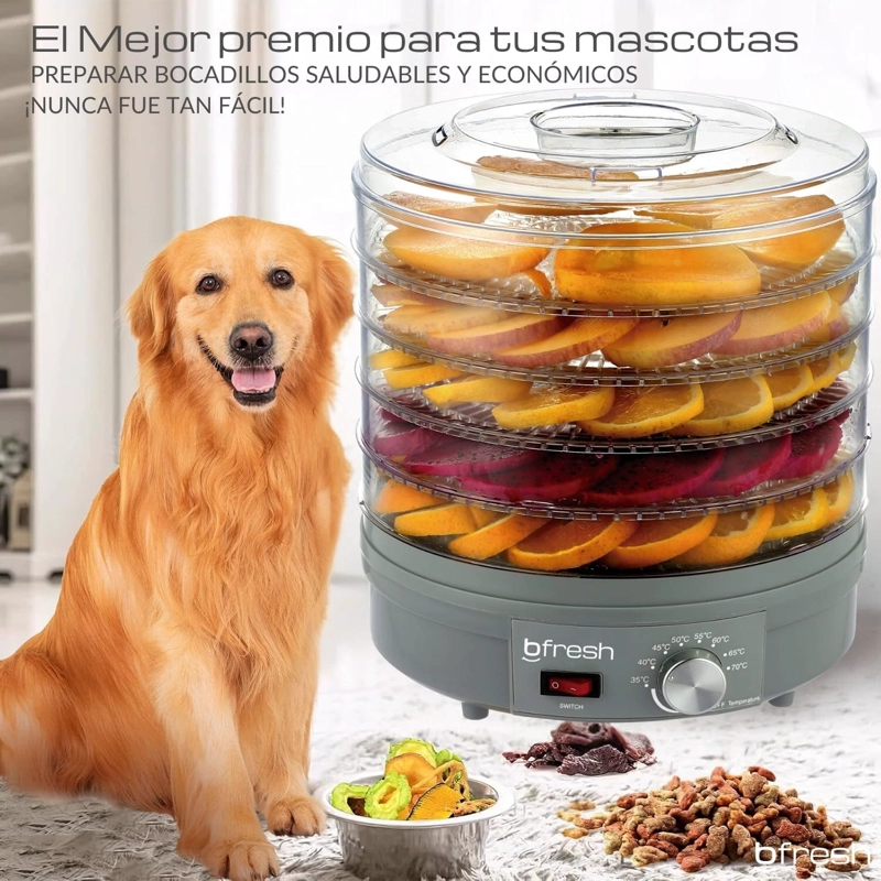 DESHIDRATADOR ALIMENTOS FRUTAS BFRESH R6728 250 W DRY FIT GRIS - 7