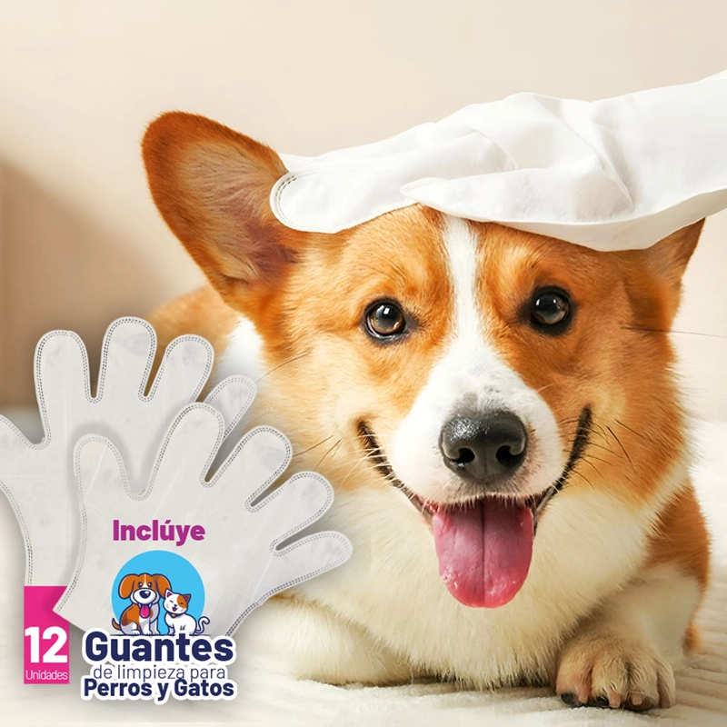 100 SABANILLAS DE CARBONO 45X60 + 12 GUANTES PERROS MASCOTAS - 5