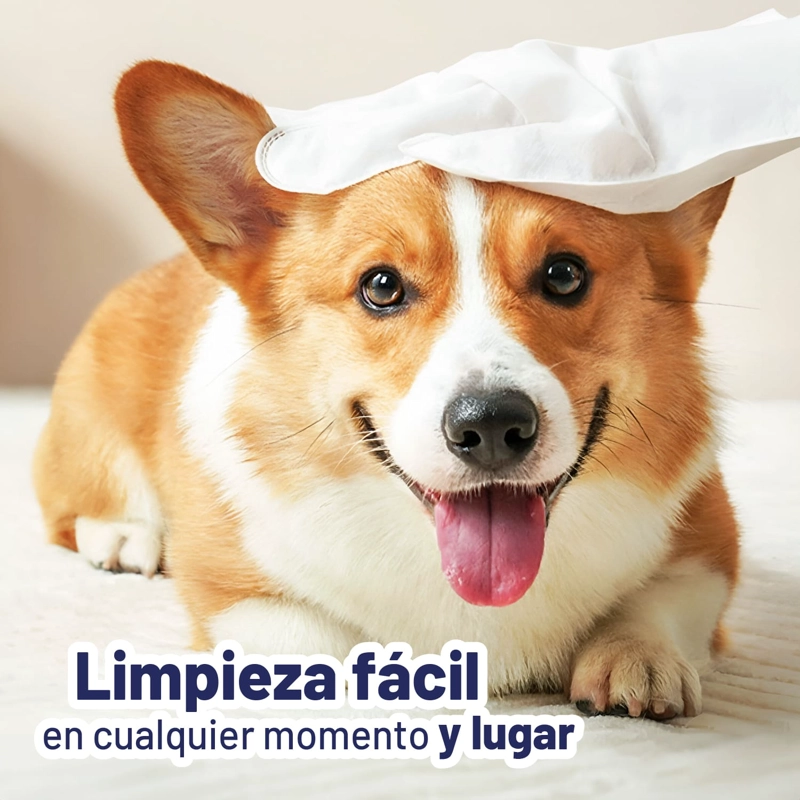 6 GUANTES DE LIMPIEZA PERROS GATOS CUIDADO ESTÉTICA PETWOOW - 10