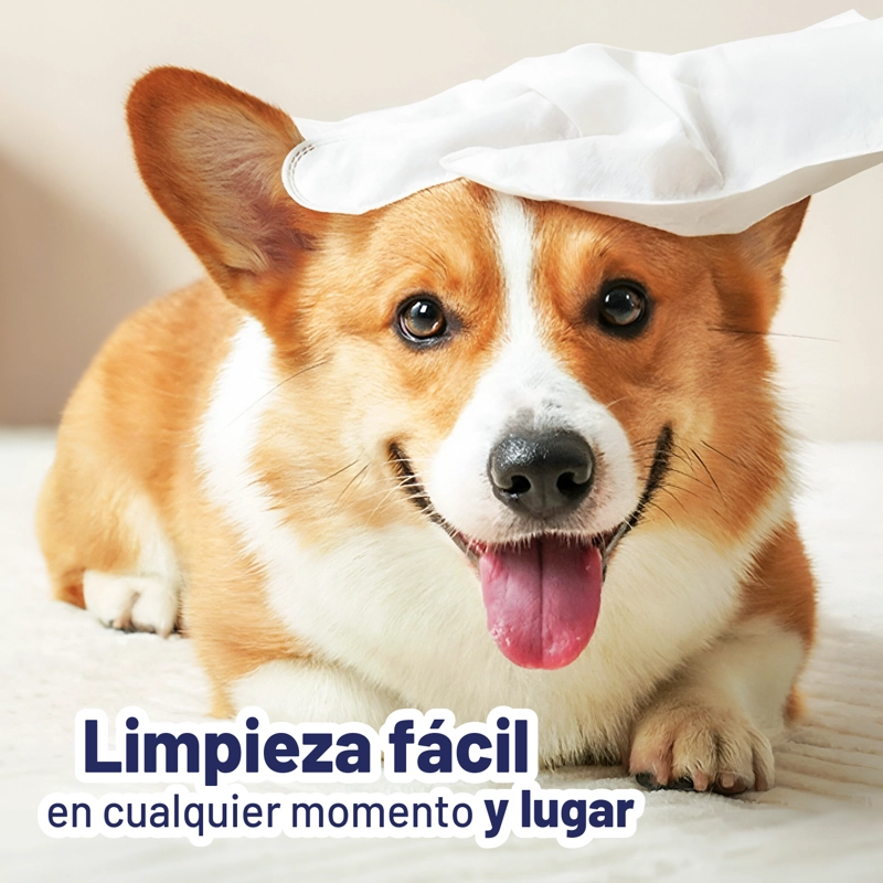36 GUANTES DE LIMPIEZA PERROS GATOS CUIDADO ESTÉTICA PETWOOW - 10