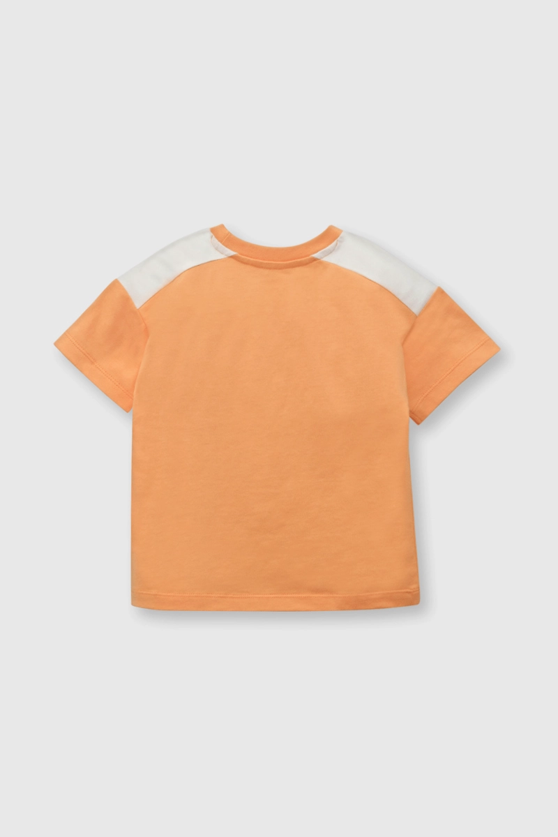 POLERA ALGODÓN NIÑO COLLOKY NARANJO EVERY DAY 55621 - 2