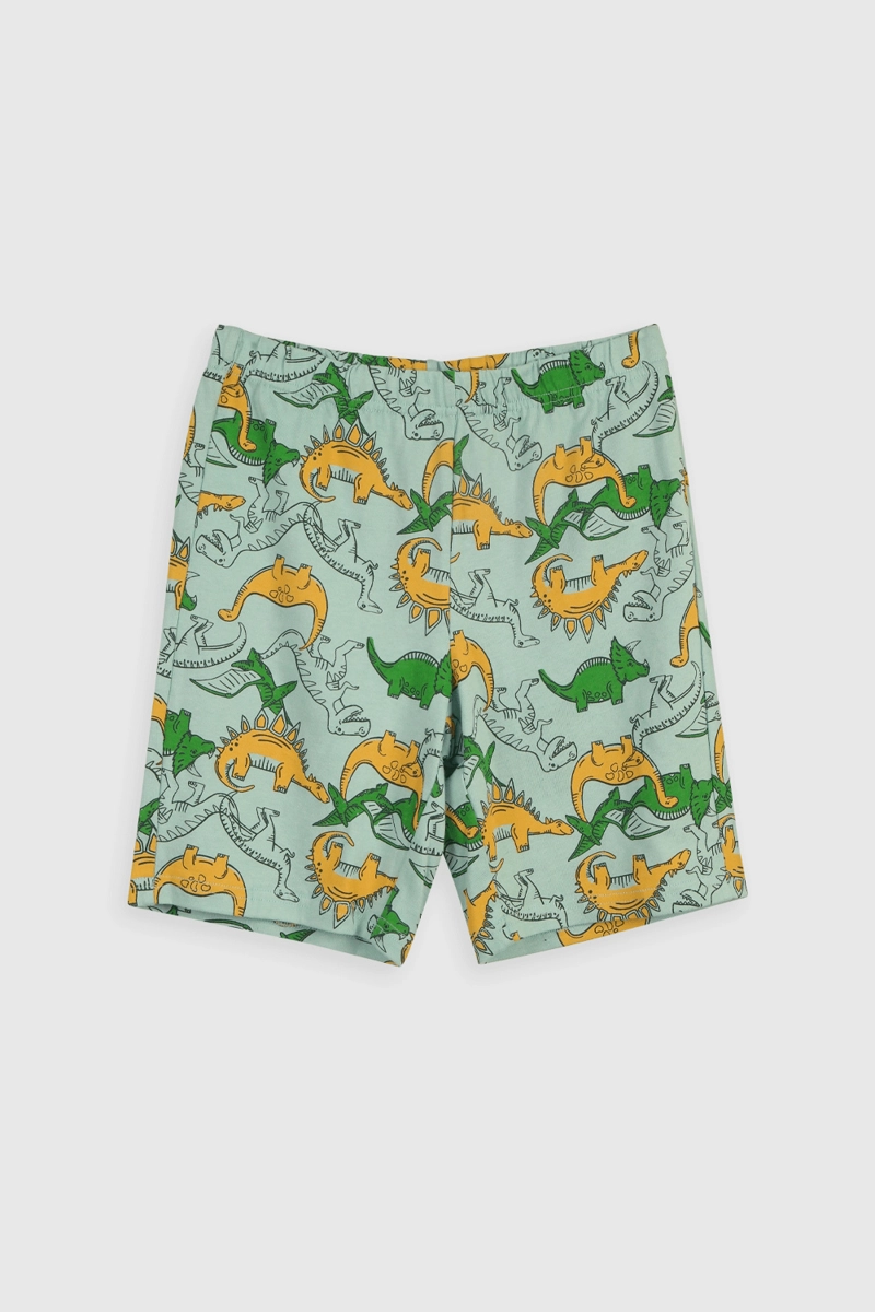 PIJAMA ALGODÓN NIÑO COLLOKY VERDE 56105 - 3