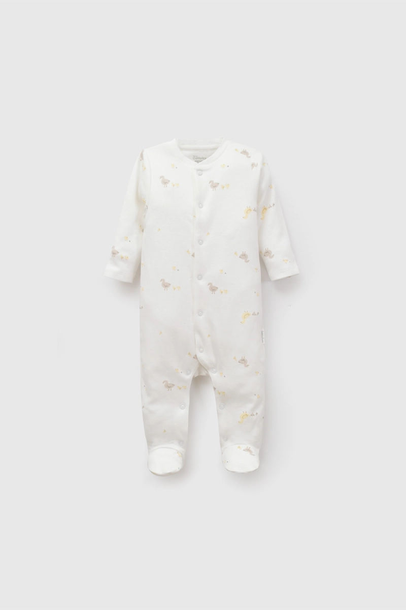 OSO BLANCO 7486 COLLOKY - 1