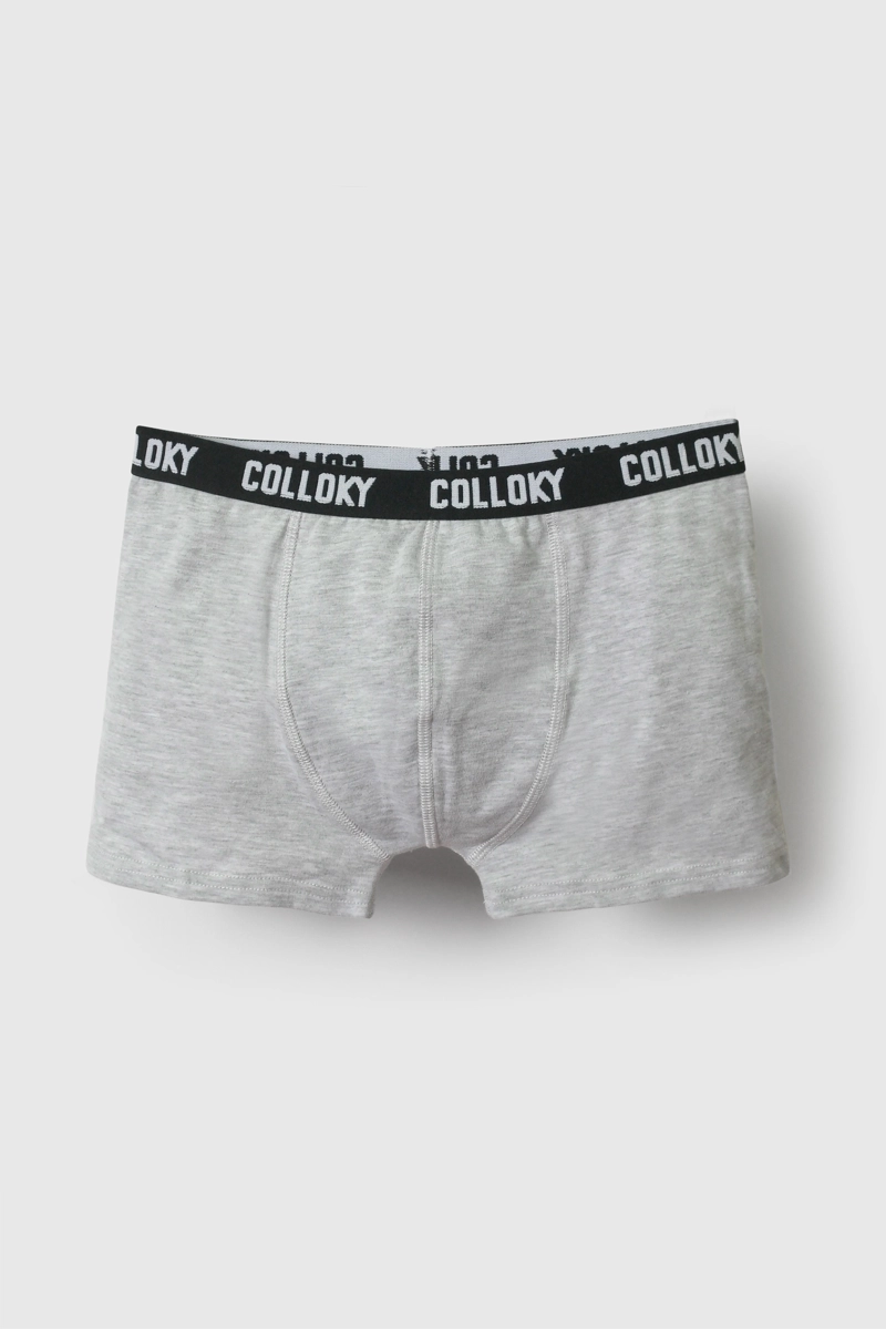 BOXER GRIS 7609 COLLOKY - 2