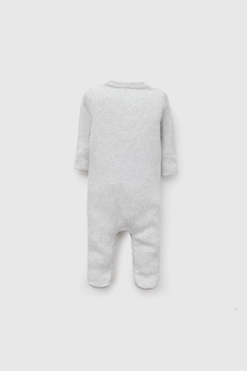 OSO GRIS 7346 COLLOKY - 2
