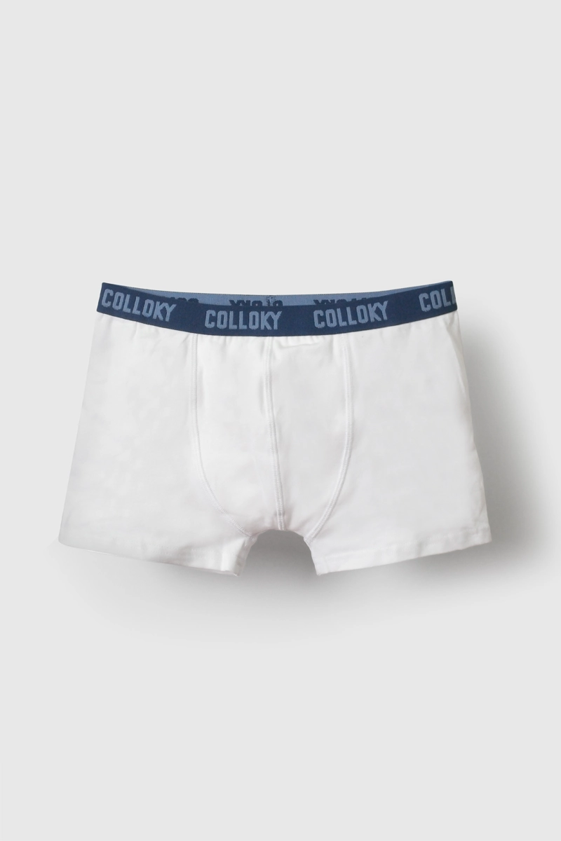 BOXER ALGODON CINTURA ELASTICADA NIÑO AZUL 2/3A A +12A - 3