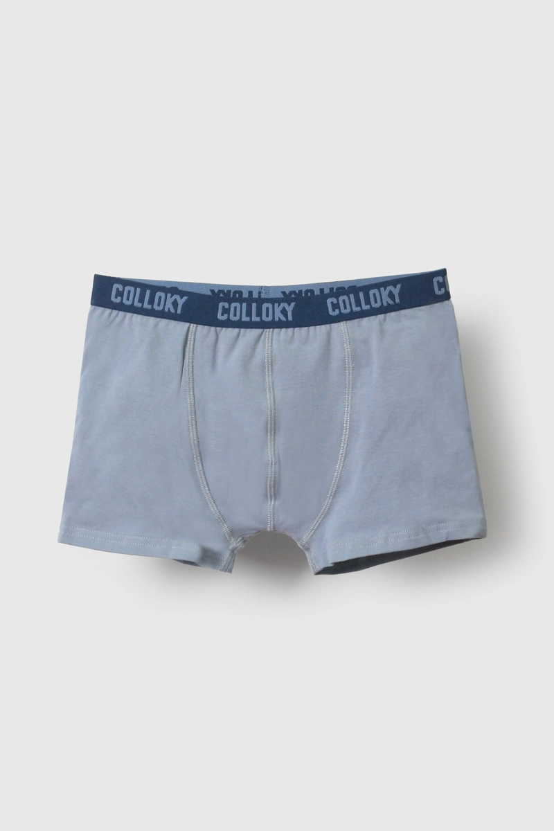 BOXER ALGODON CINTURA ELASTICADA NIÑO AZUL 2/3A A +12A - 6