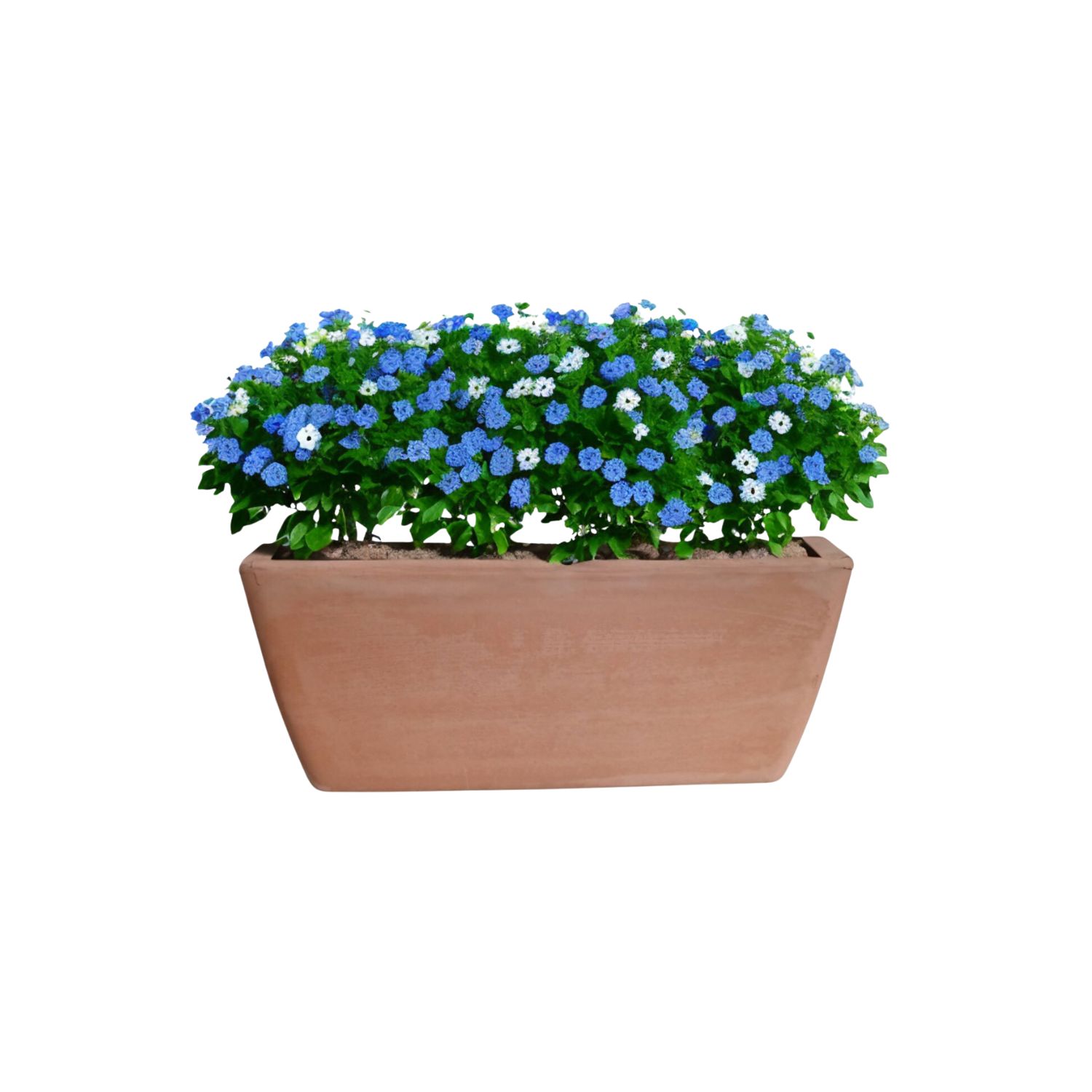 JARDINERA POTTERY JARDINERA RECTANGULAR GARDA 32 CM TERRARCILLA DEROMA CERÁMICA - 1