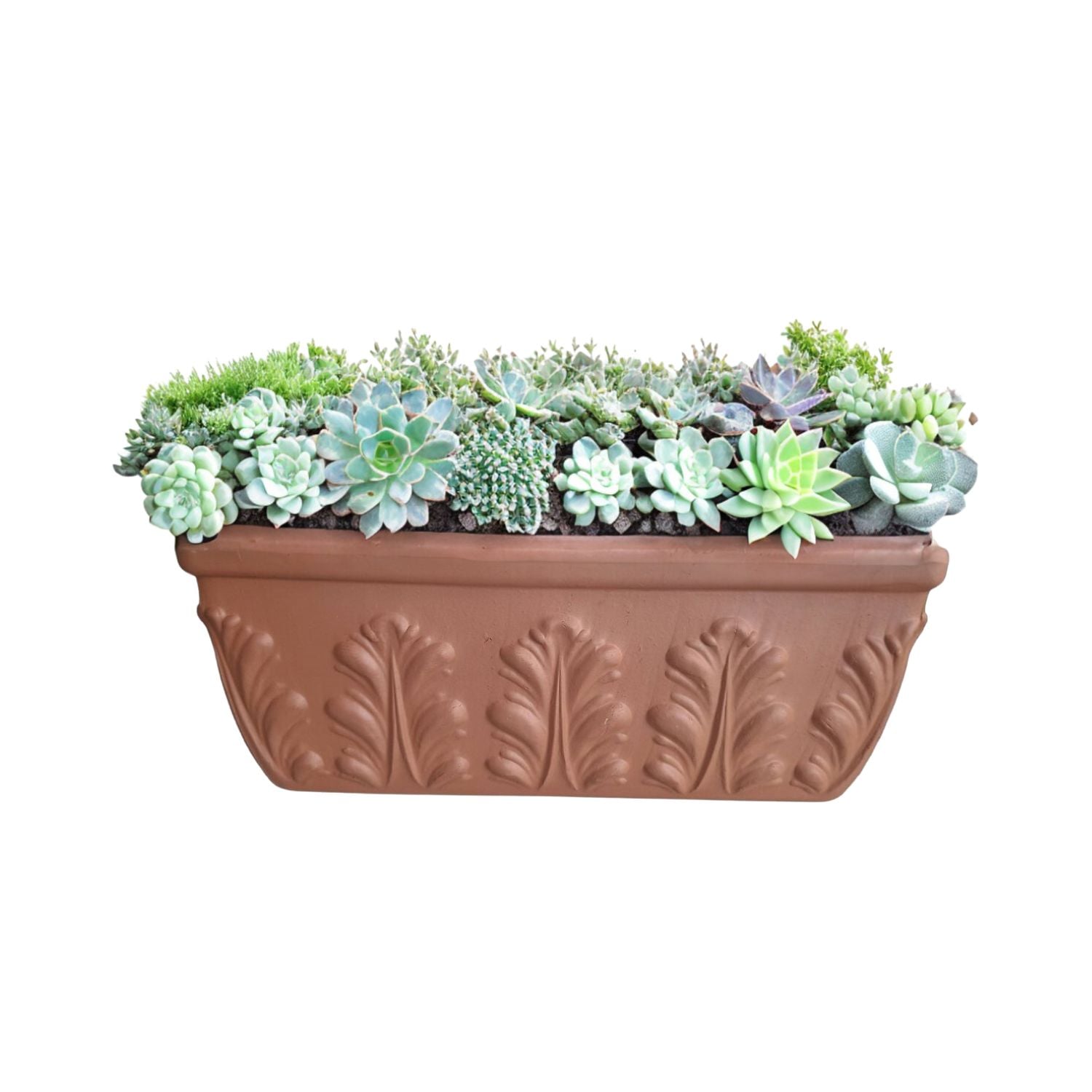JARDINERA POTTERY JARDINERA RECTANGULAR ROMANA TERRACOTA RELIEVE 42 CM DEROMA CERÁMICA - 1