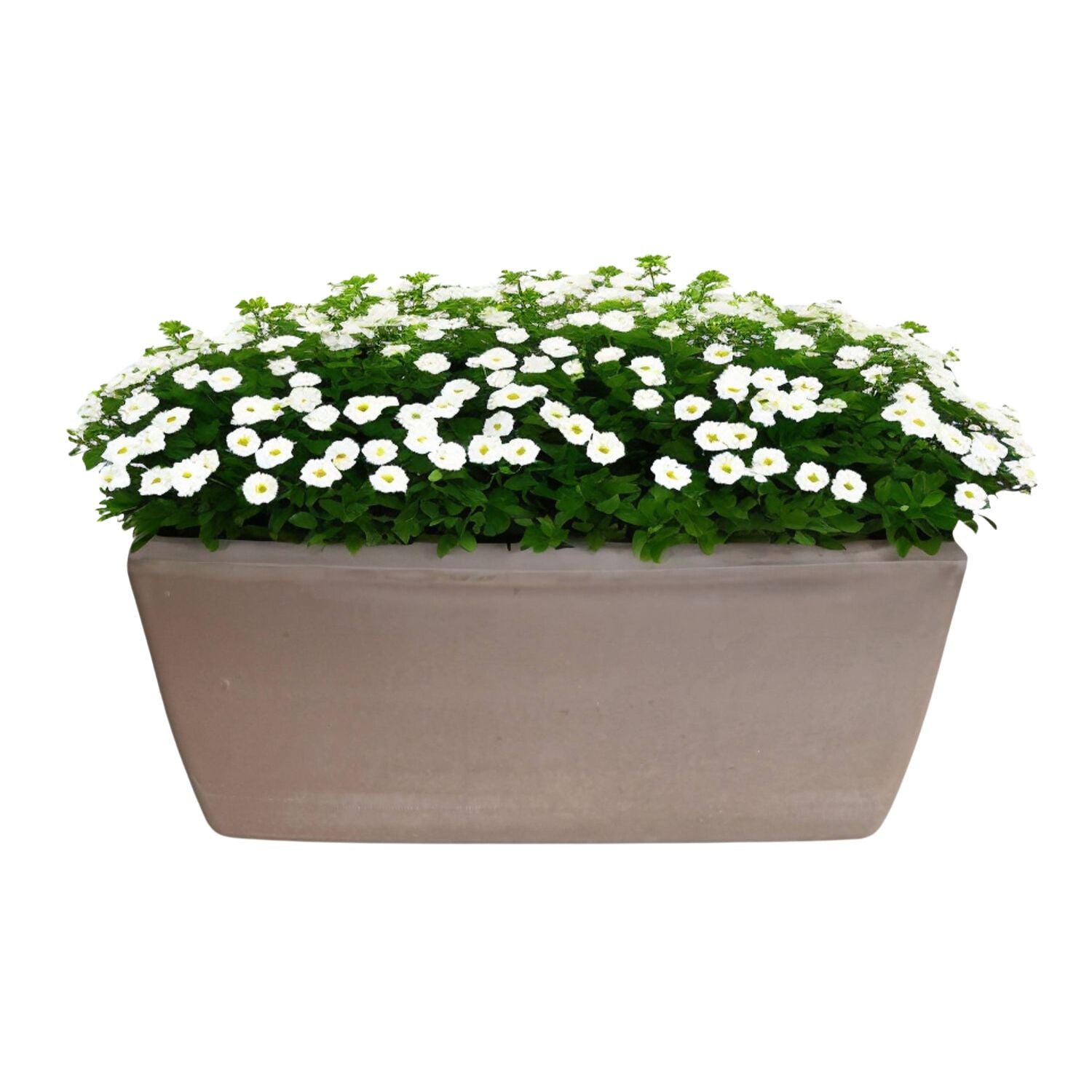 JARDINERA POTTERY JARDINERA RECTANGULAR GARDA 42 CM GRAFITE DEROMA CERÁMICA - 1