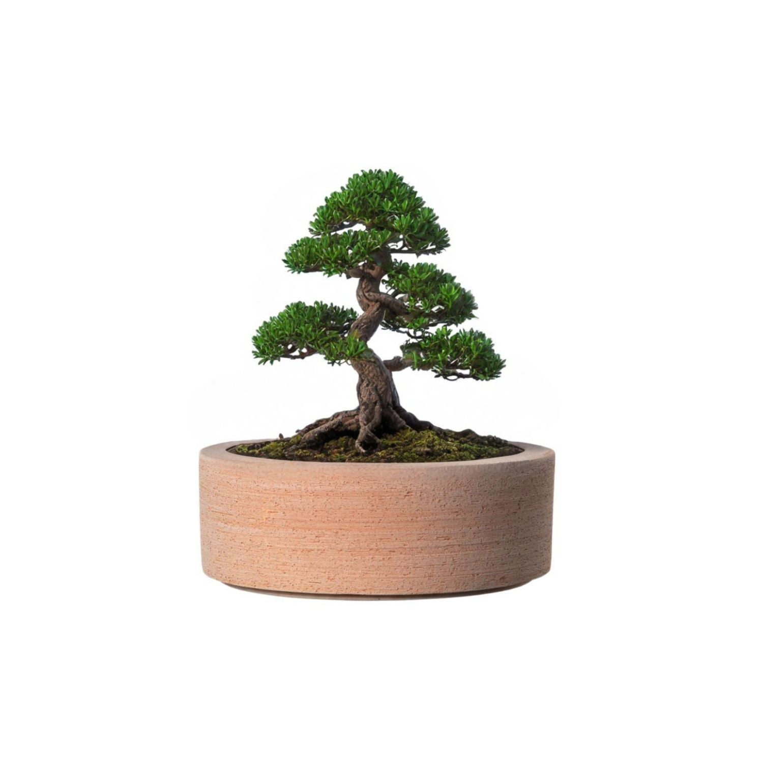 MACETA LUNA BAJA 26CM, TERRACOTA - 4