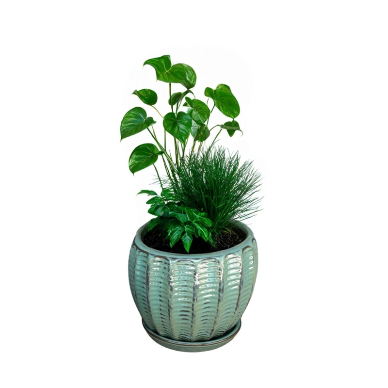 MACETA HOSSE 37 AZUL CAPRI CON PLATO - 4