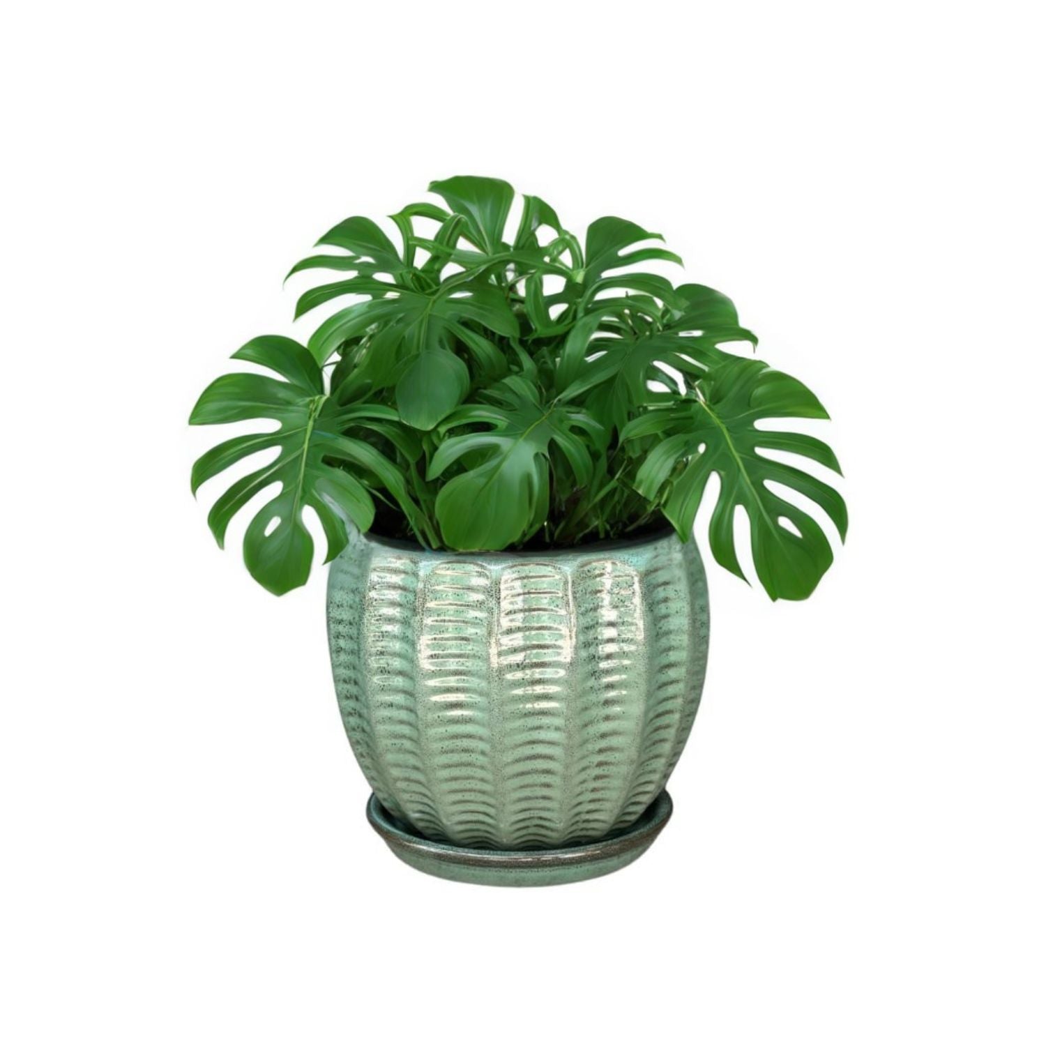MACETA HOSSE 37 VERDE COSTA CON PLATO - 1