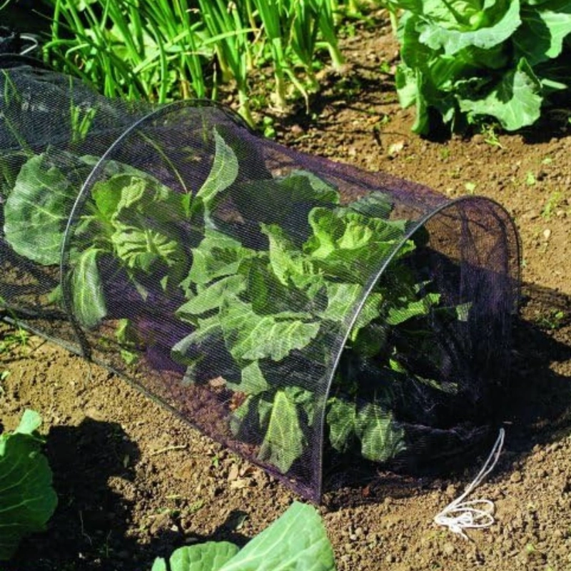 TUNEL PROTECTOR CULTIVO 3MT - 2