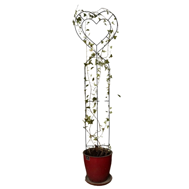 SOPORTE PLANTA TREPADORA CORAZON - 2