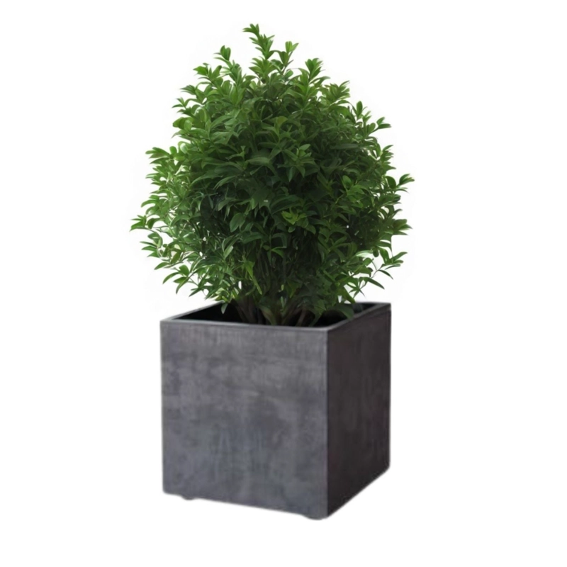MACETA CUBO DEROMA 50X50CM GRAFITO - 1