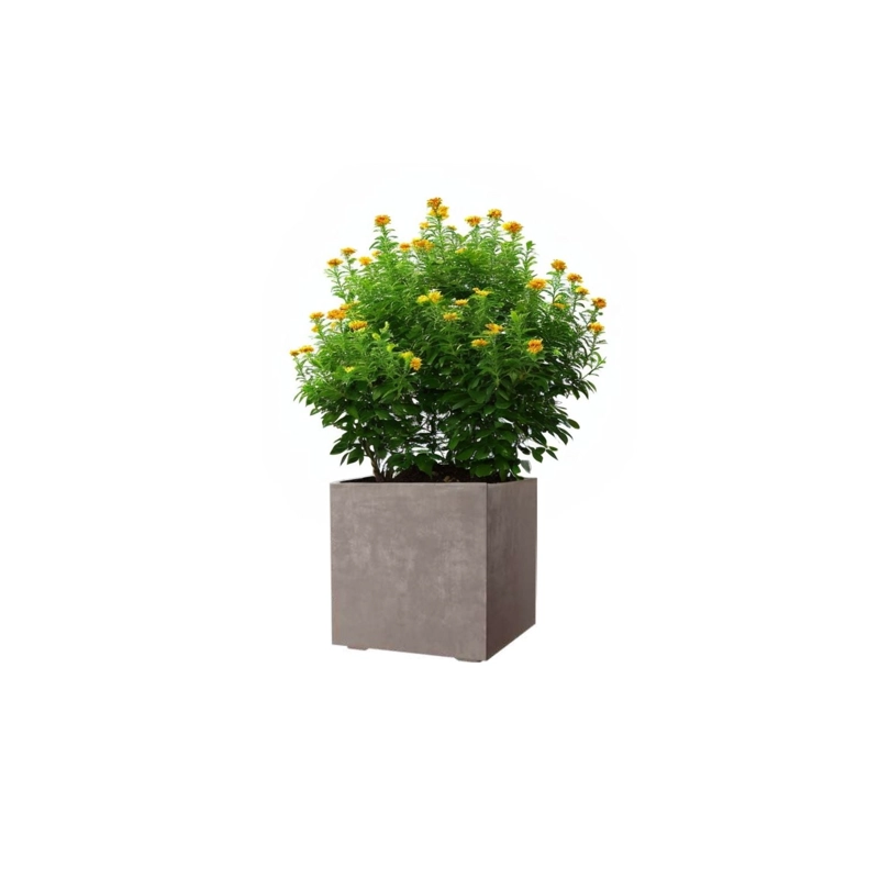 MACETA CUBO DEROMA 25X25CM ARENA - 1