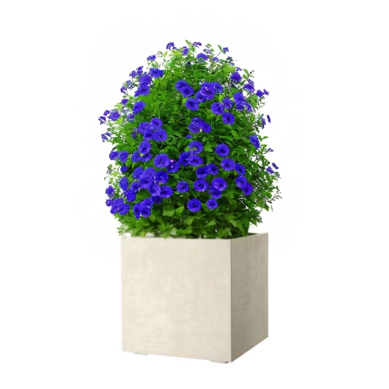 MACETA CUBO DEROMA 50X50CM COBRE - 4