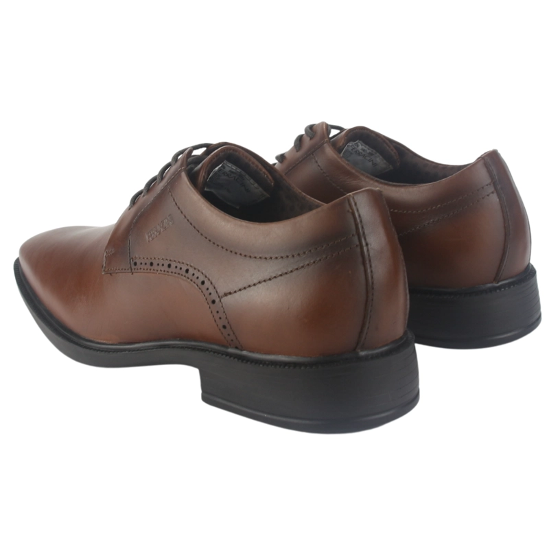 ZAPATO FERRACINI HOMBRE 6865 PARIS CAFE  CASUAL - 6