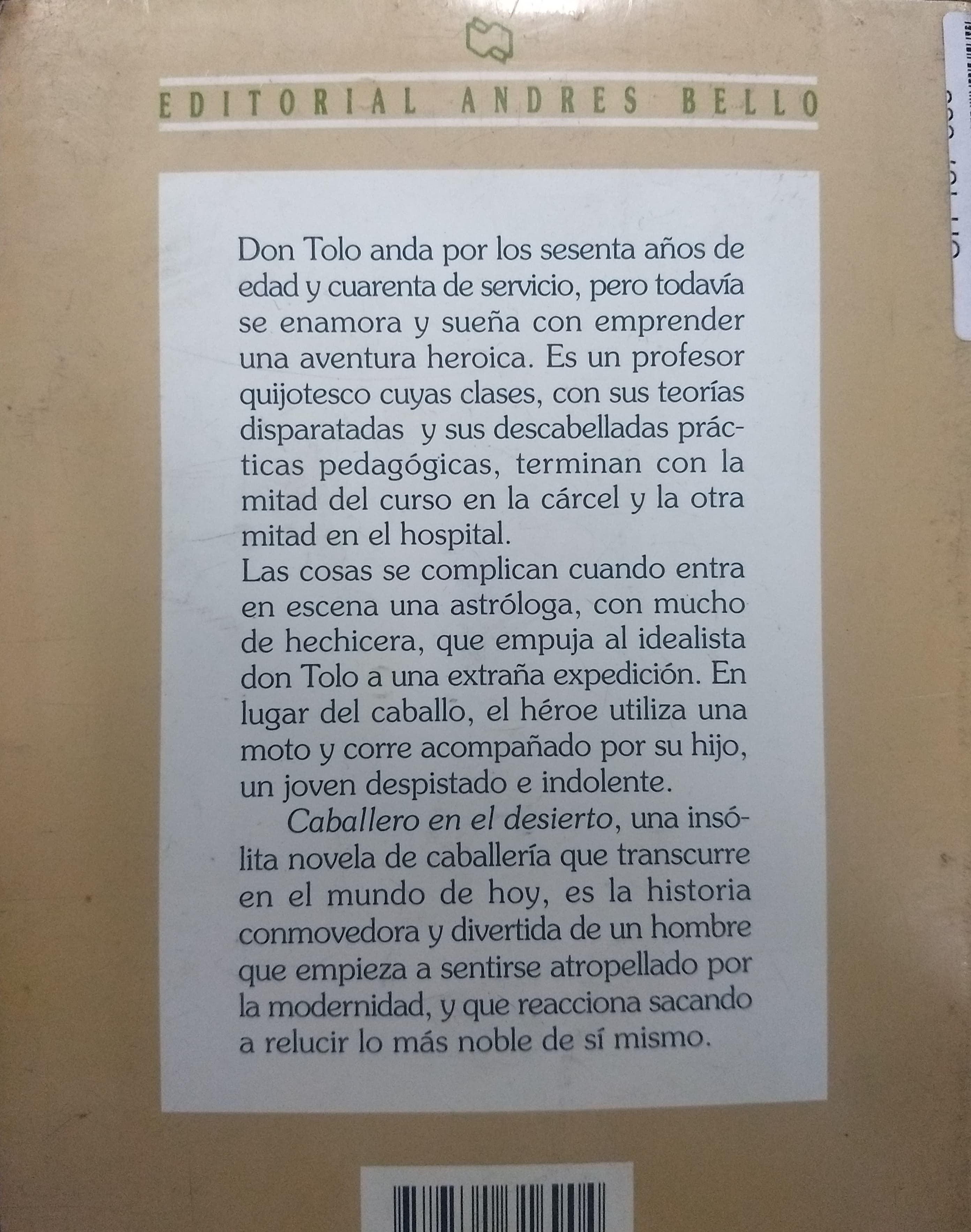 CABALLERO EN EL DESIERTO - 2